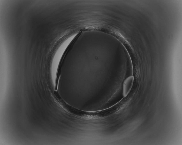 X0000086300637200704131610