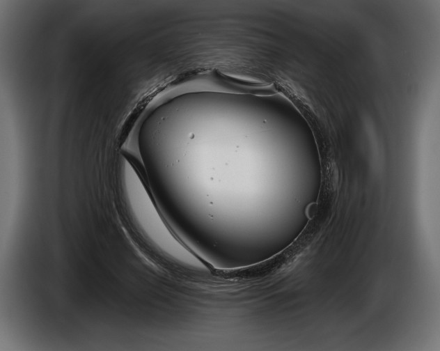 X0000086300638200704131610