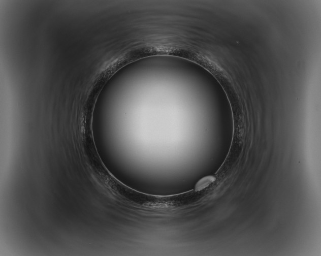 X0000086300639200704131610