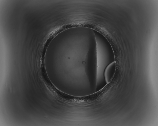 X0000086300640200704131610