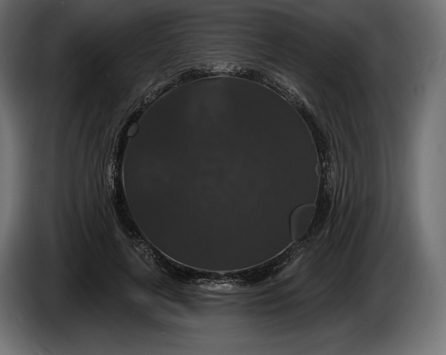 X0000086300643200704131610