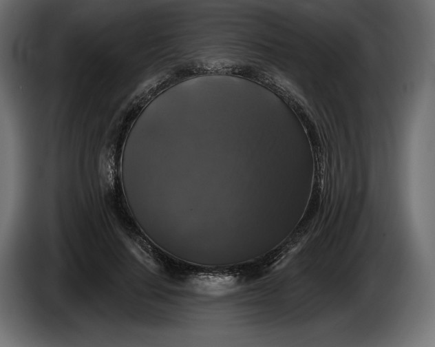 X0000086300644200704131610