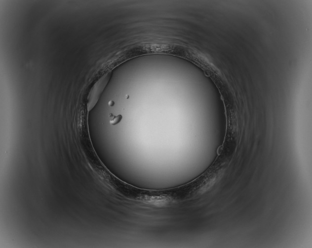 X0000086300645200704131610