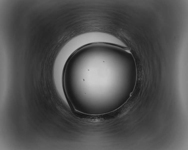 X0000086300646200704131610