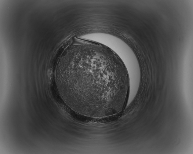 X0000086300648200704131610