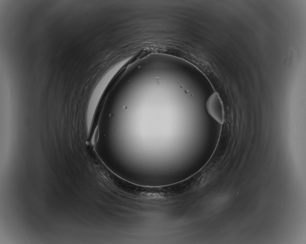 X0000086300649200704131610