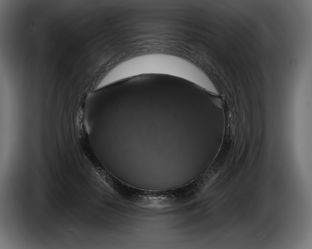 X0000086300650200704131610