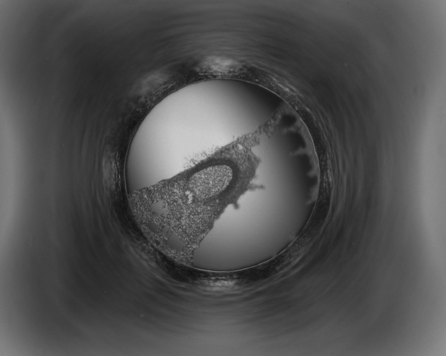 X0000086300651200704131610