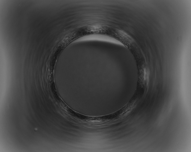 X0000086300653200704131610