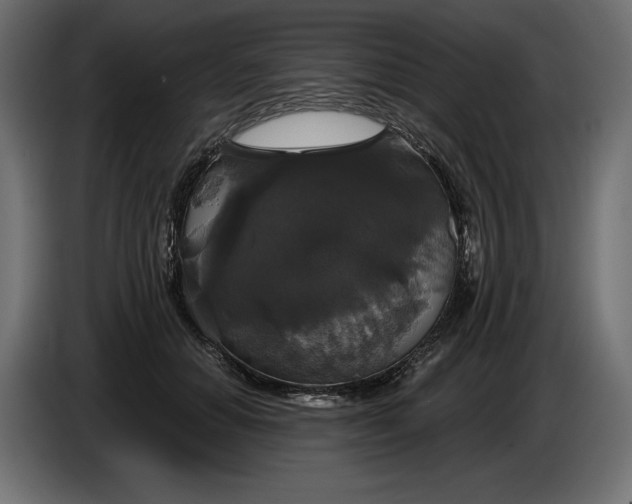 X0000086300654200704131610