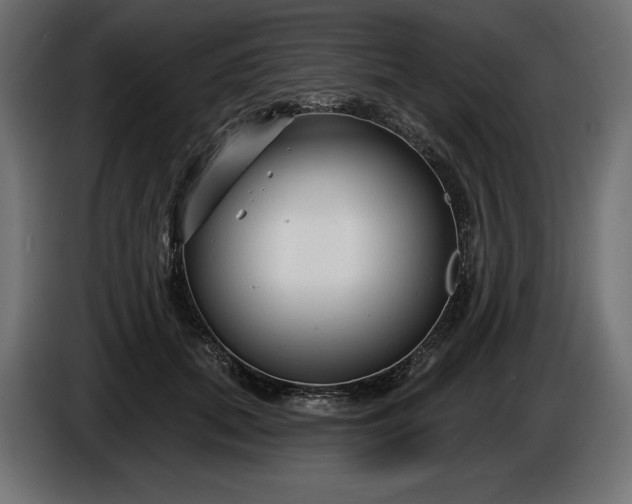 X0000086300655200704131610