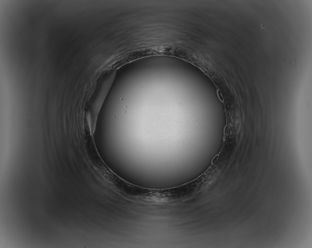 X0000086300656200704131610