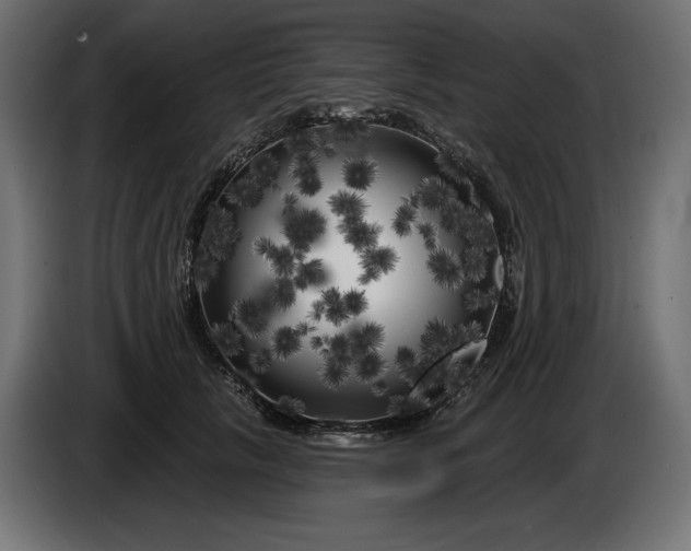 X0000086300657200704131610