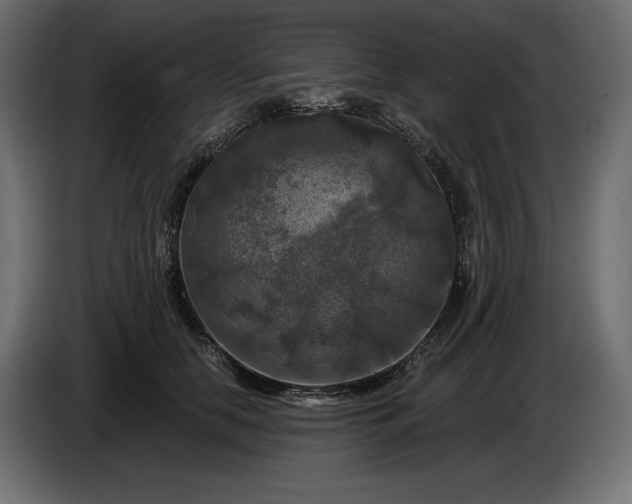 X0000086300658200704131610