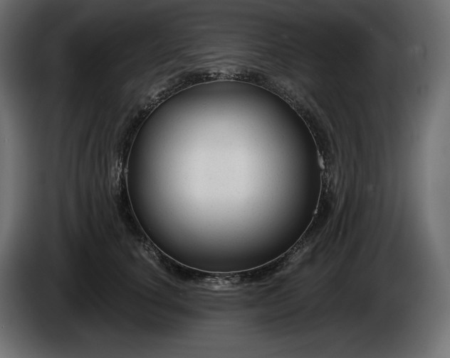 X0000086300660200704131610