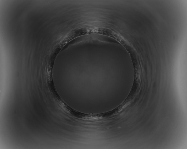 X0000086300661200704131610