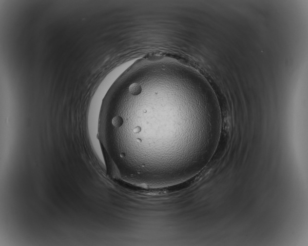 X0000086300662200704131610