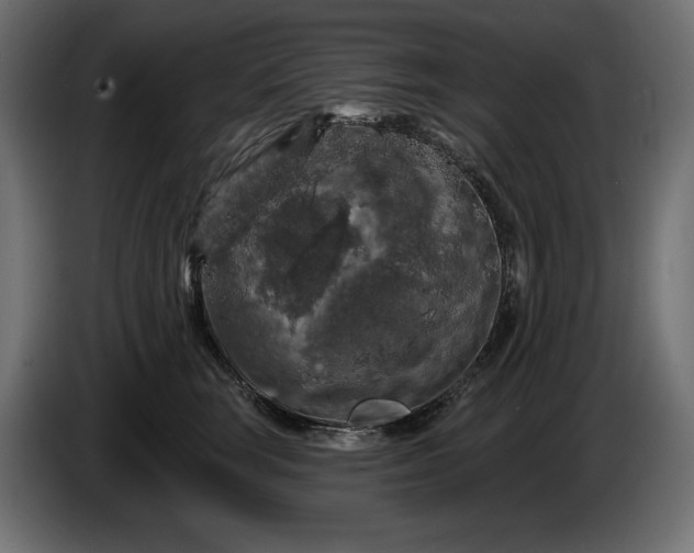 X0000086300663200704131610