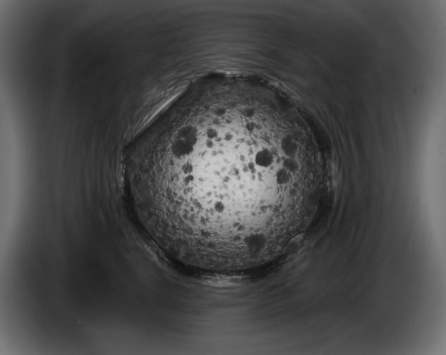 X0000086300664200704131611