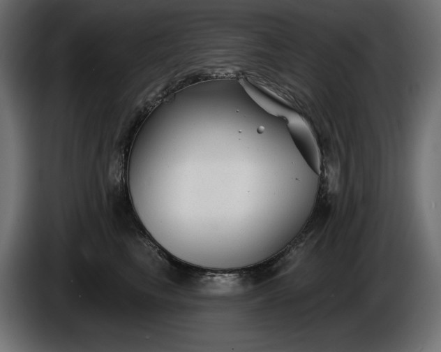 X0000086300665200704131611