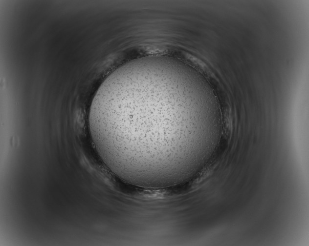 X0000086300667200704131611