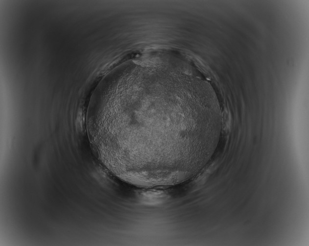 X0000086300669200704131611