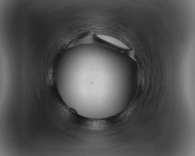 X0000086300670200704131611