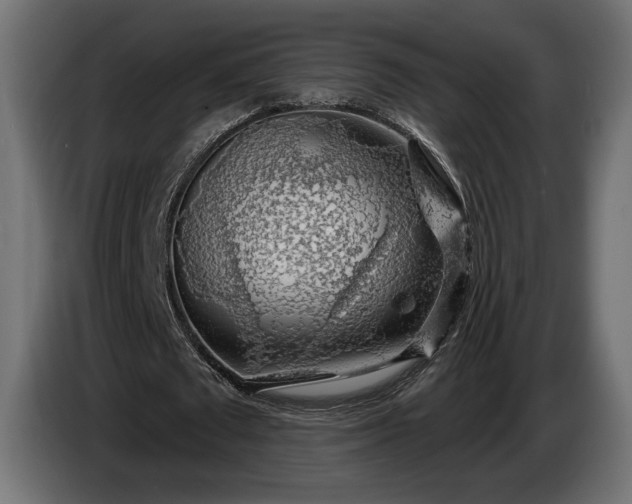 X0000086300673200704131610