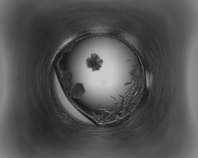 X0000086300675200704131610