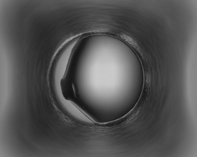 X0000086300676200704131610