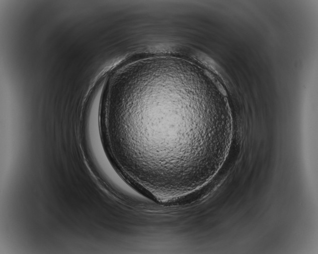 X0000086300677200704131610