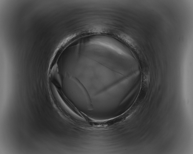 X0000086300678200704131610