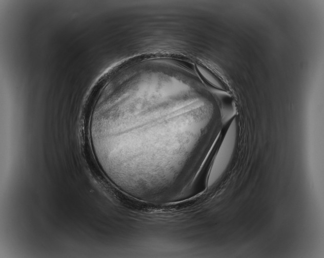 X0000086300680200704131610