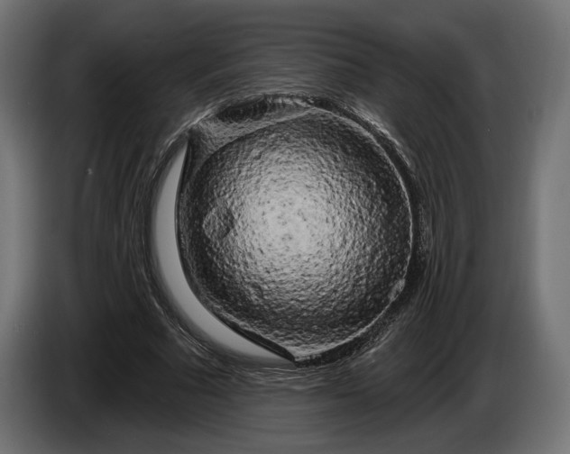 X0000086300681200704131610