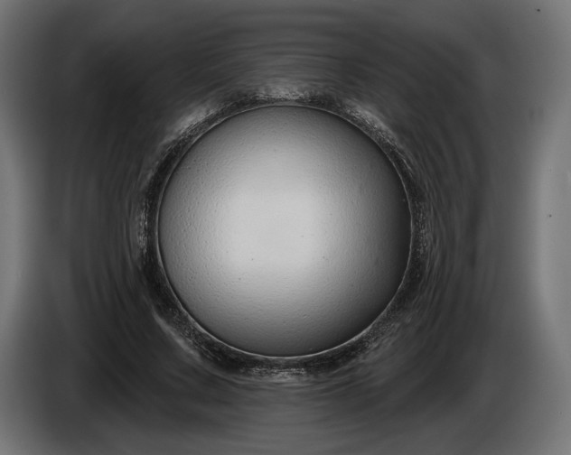 X0000086300683200704131610