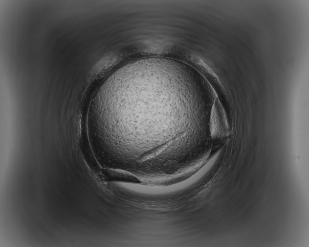 X0000086300685200704131610