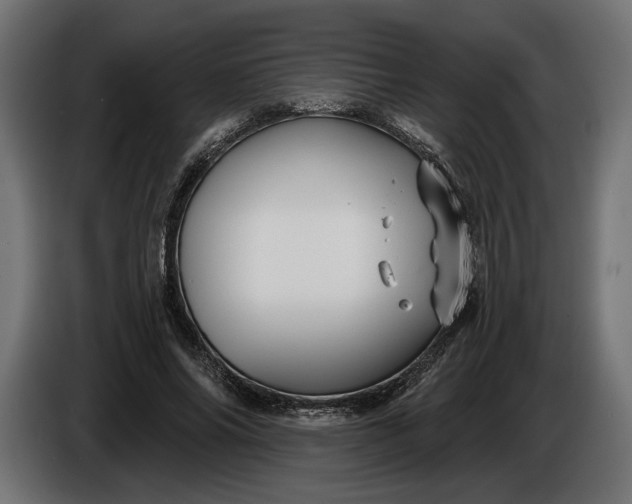 X0000086300686200704131610