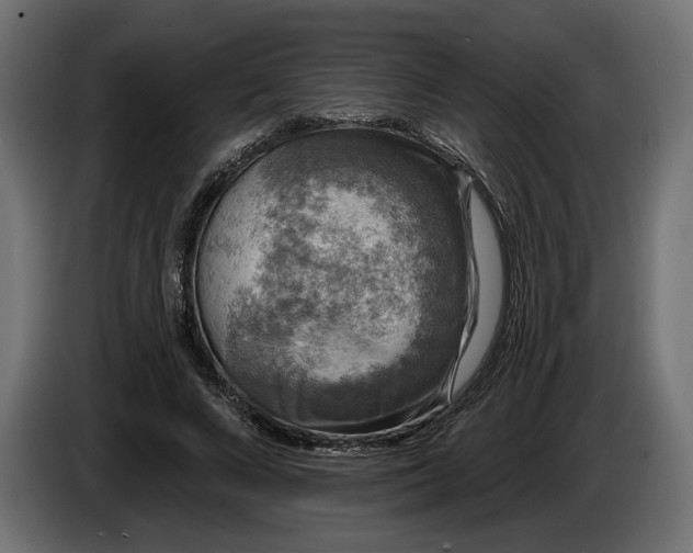 X0000086300688200704131610