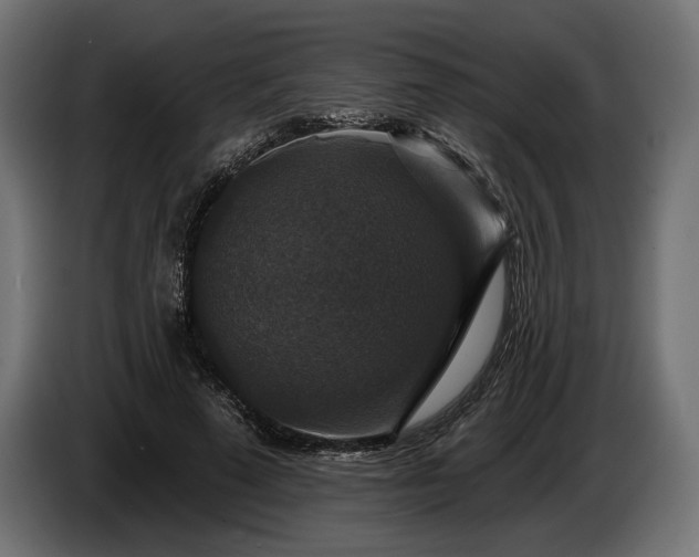 X0000086300689200704131610