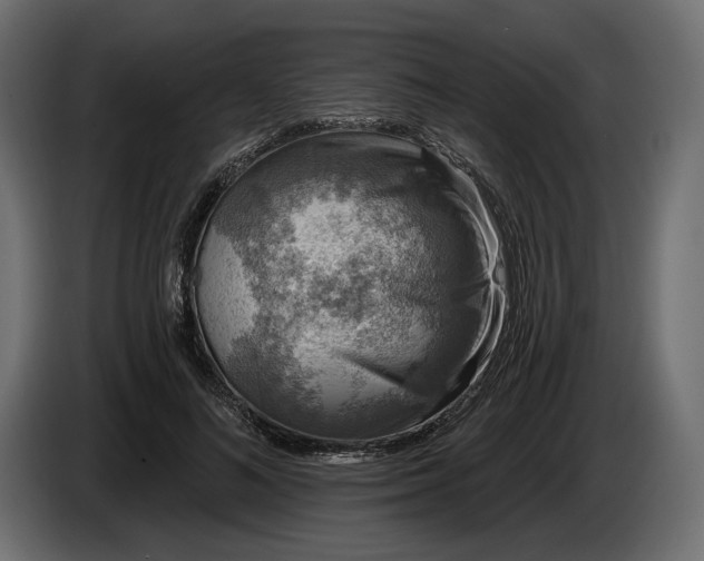 X0000086300692200704131610