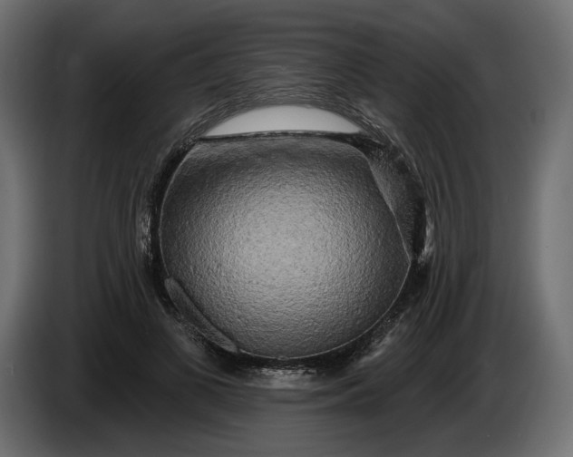 X0000086300693200704131610