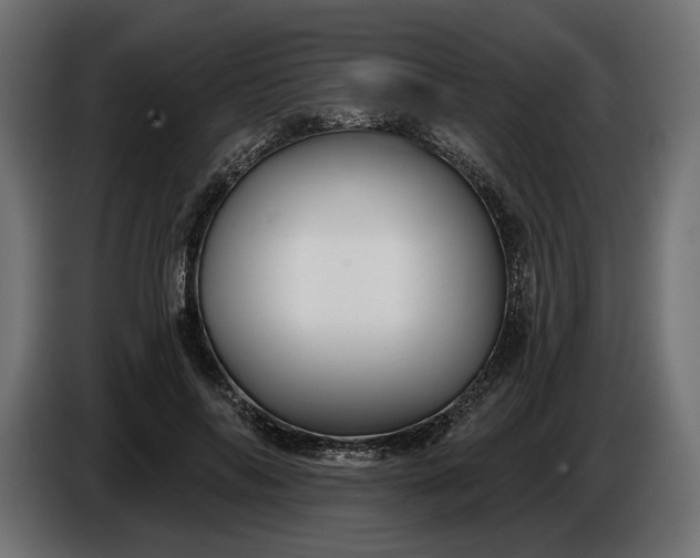 X0000086300694200704131610