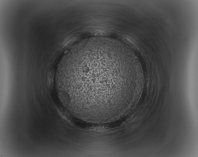 X0000086300695200704131610