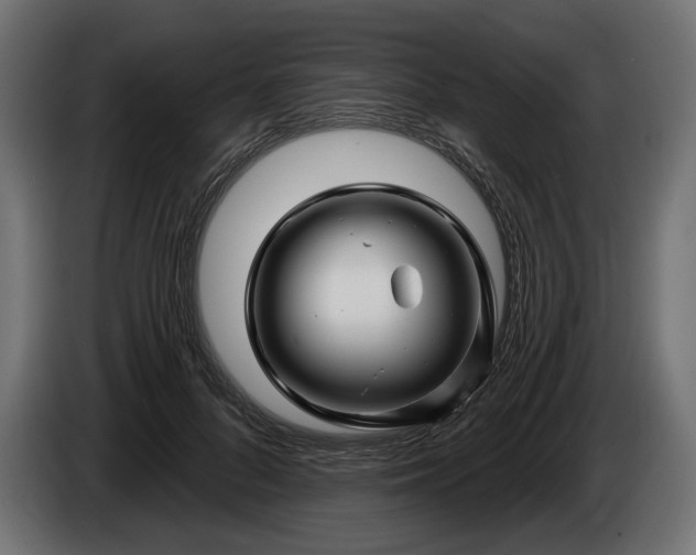 X0000086300696200704131610