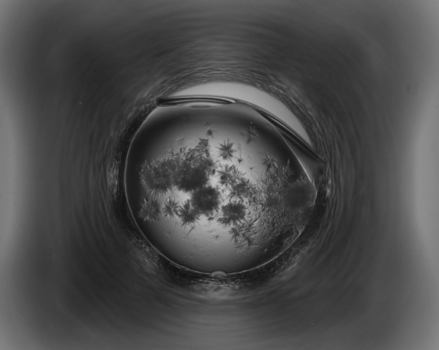 X0000086300697200704131610