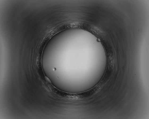 X0000086300698200704131610