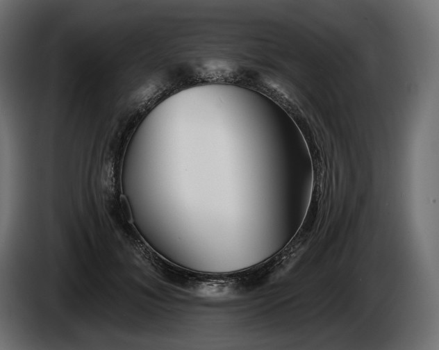 X0000086300700200704131610