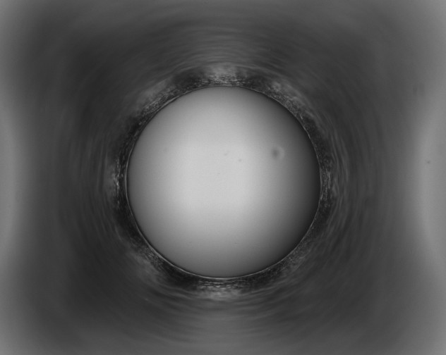 X0000086300702200704131610