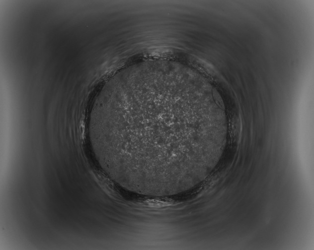 X0000086300703200704131610