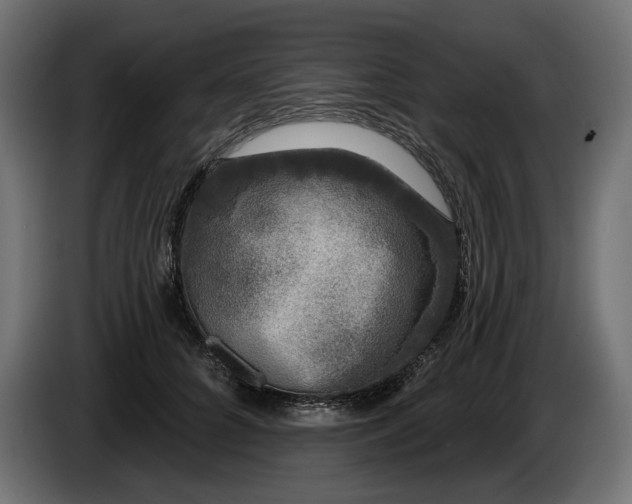 X0000086300704200704131609